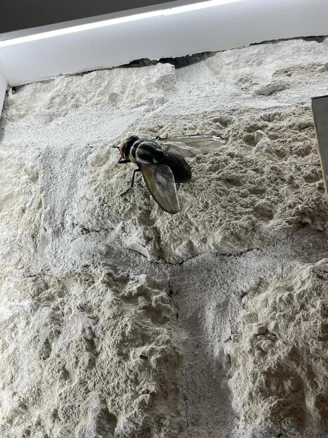 I Bastioni Apartment 팔레르모 외부 사진